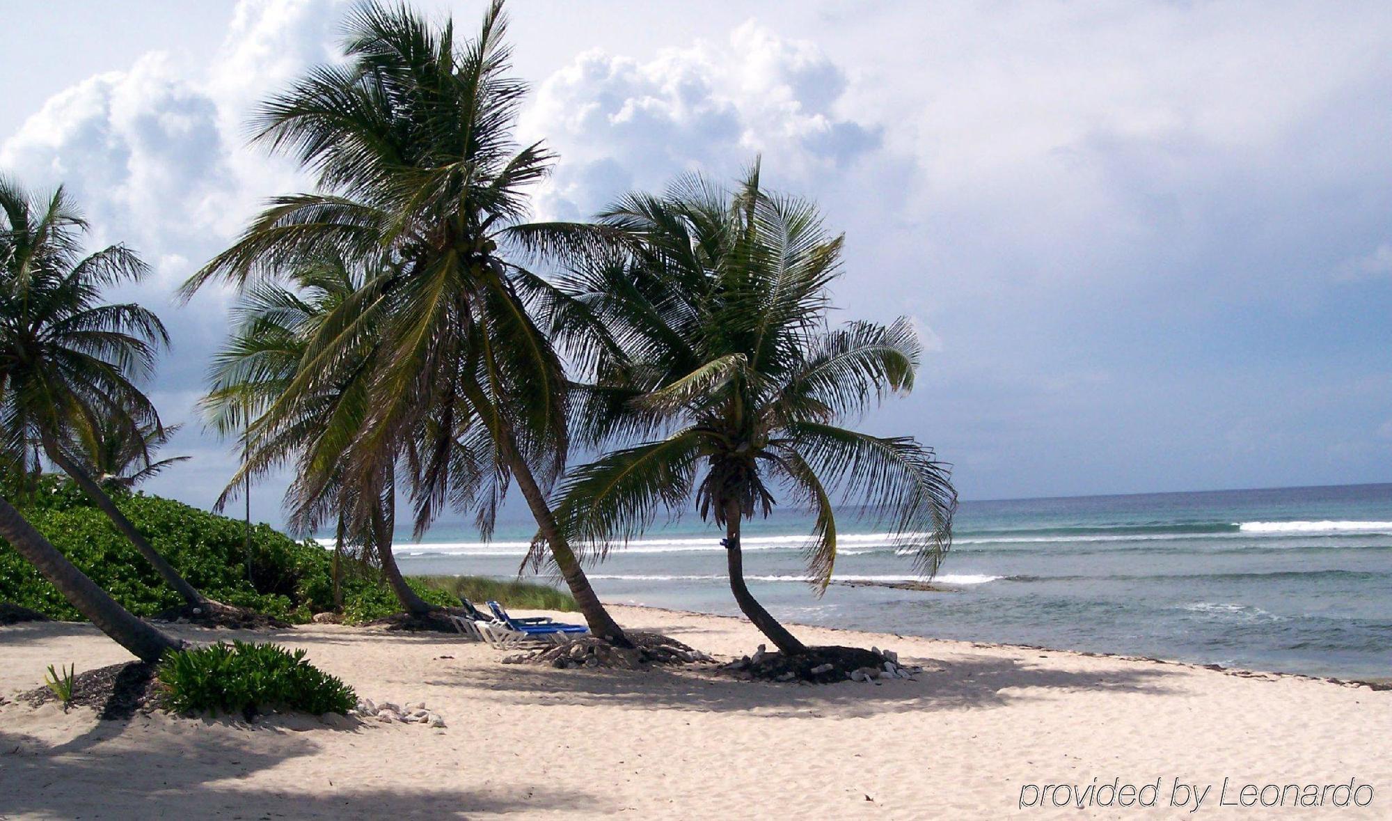 Hibiscus Beach Resort Christiansted Exterior photo